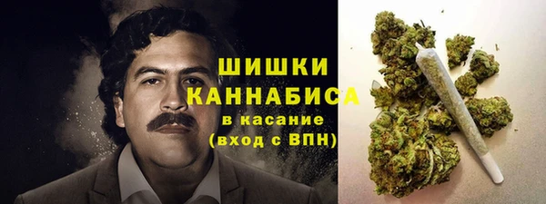 гидра Верея